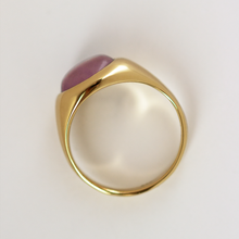 Lade das Bild im Galerie-Viewer, KAT EVE Beispiel Individualanfertigung Claudia H.